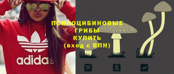 МДПВ Арсеньев