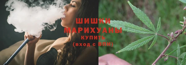 сатива Аркадак