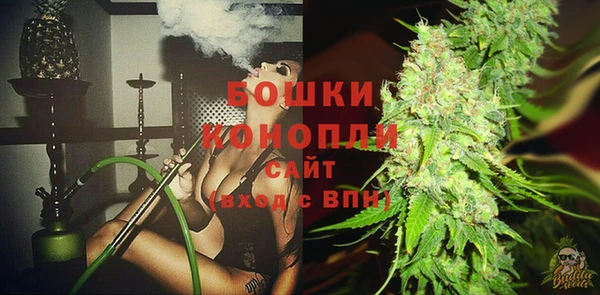 сатива Аркадак