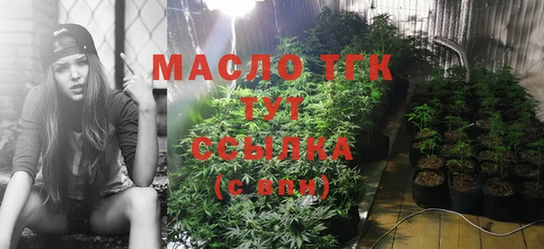 сатива Аркадак