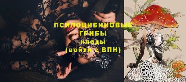 сатива Аркадак