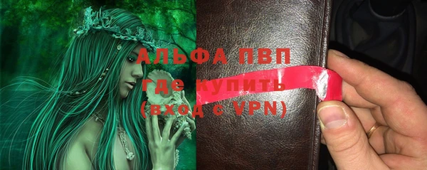 PSILOCYBIN Балахна
